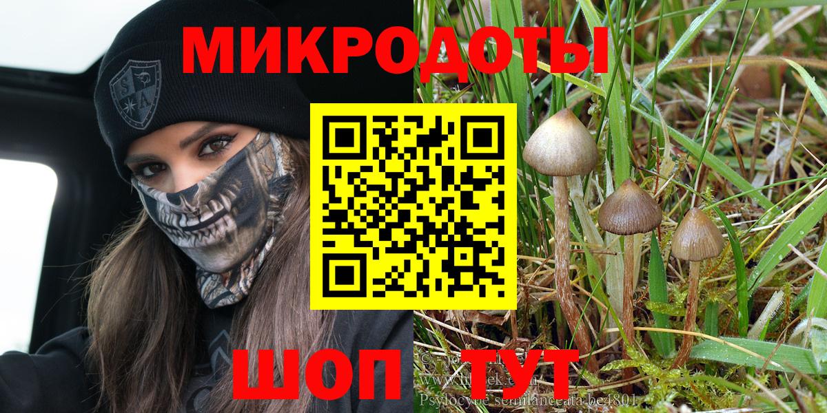 Пыть-Ях  Псилоцибиновые грибы MAGIC MUSHROOMS  Вход с VPN  Псилоцибиновые грибы мухоморы 